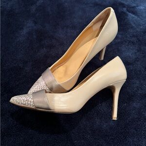 Unique and Classy Pointed Toe Heels